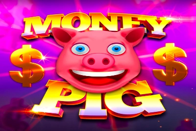 04758 money pig