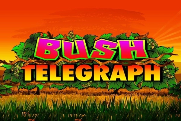 07803 bush telegraph