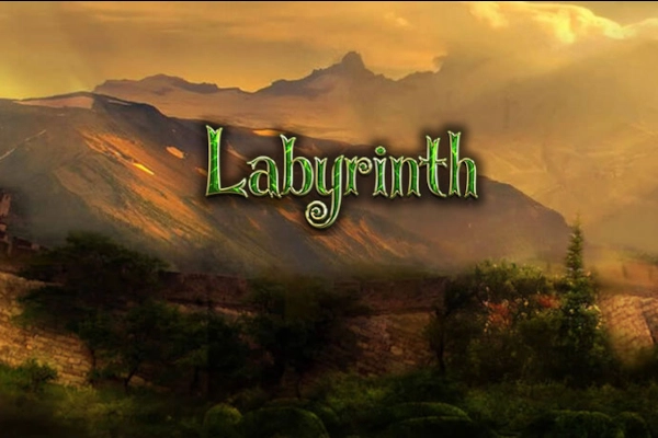 13441 labyrinth