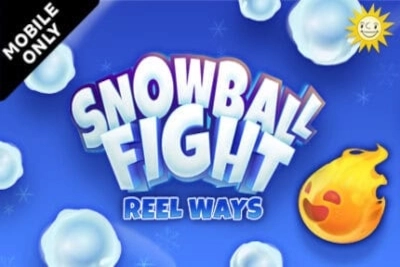 13907 snowball fight